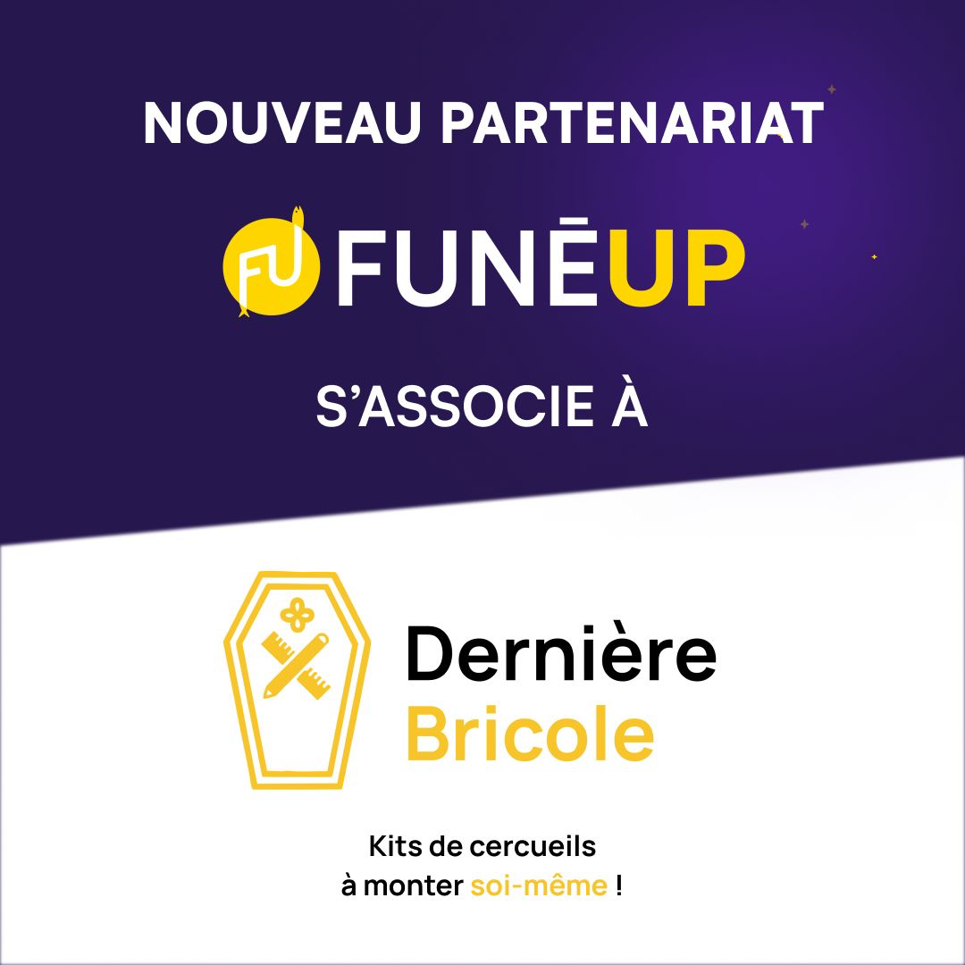 Voir la Publication