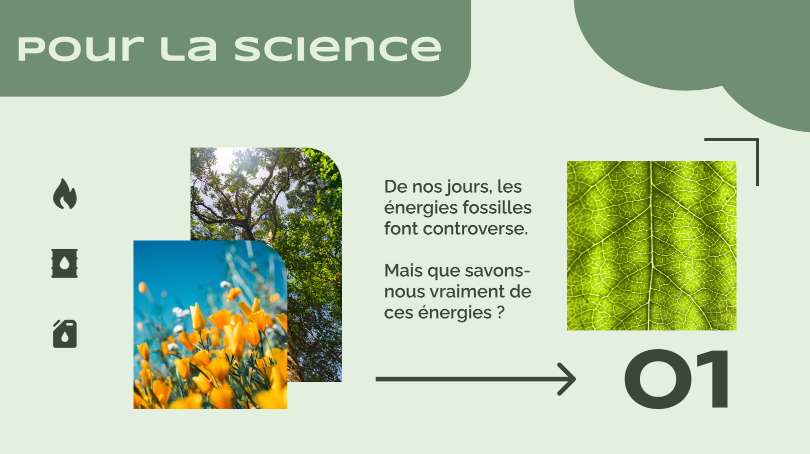 Image couverture de Pour la Science, le journal scientifique.